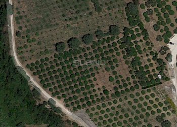 Terreno agricolo STRADA CARANCINO, Siracusa - foto 1