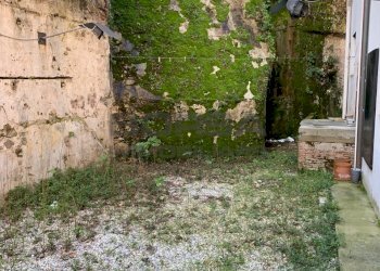 IMG_1795.jpg - Magazzino Via del Forte San Pietro 1, Livorno - foto 3