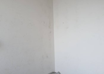 Attività Commerciale Via Romana, Lucca (zona Antraccoli) - foto 10