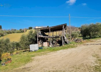 Rustico Montefiore dell'Aso - foto 4