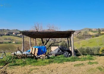 Rustico Montefiore dell'Aso - foto 5