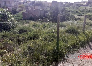 Agriturismo VIA CIRCE, Scicli - foto 2