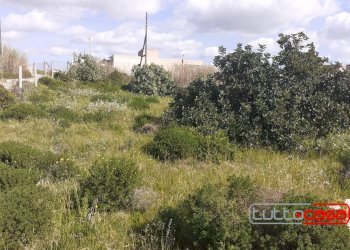 Agriturismo VIA CIRCE, Scicli - foto 4