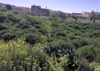 Agriturismo VIA CIRCE, Scicli - foto 5