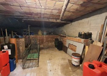 cantina.jpg - Independent house Ameglia - photo 15