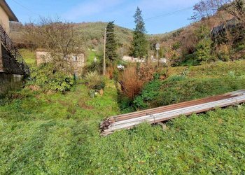 giardino2.jpg - Independent house Ameglia - photo 19