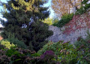 Casa indipendente Via Ruetta, Torre Canavese - foto 54