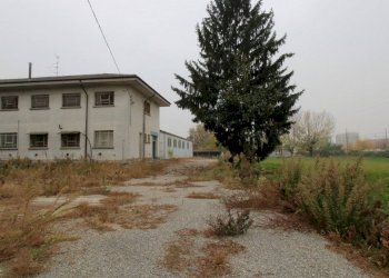 edificio - Capannone strada Provinciale Padana Inferiore, Tortona - foto 3