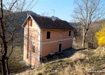 RIf 131 (2).jpg - Rustico Urbe - foto 1