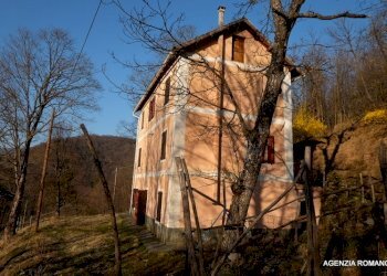 RIf 131 (17).jpg - Rustico Urbe - foto 15