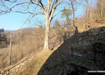 RIf 131 (6).jpg - Rustico Urbe - foto 18