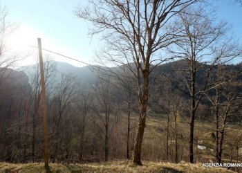 RIf 131 (5).jpg - Rustico Urbe - foto 19