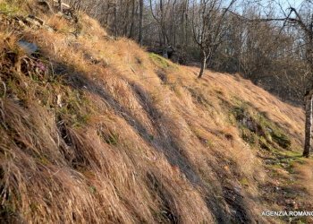 RIf 131 (28).jpg - Rustico Urbe - foto 20