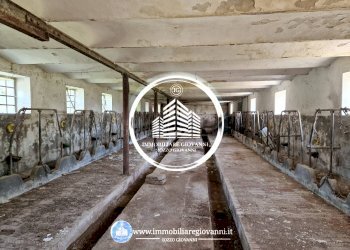 Interno non residenziale - Rustico via Racconigi, Carmagnola - foto 4