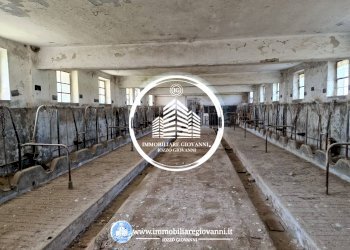 Interno non residenziale - Rustico via Racconigi, Carmagnola - foto 3