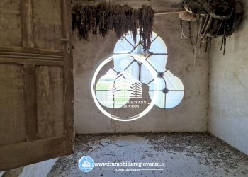 Interno non residenziale - Rustico via Racconigi, Carmagnola - foto 6