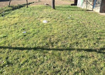 IMG_2018.JPG - Terreno edificabile Via G.Deledda 28, Castelfranco di Sotto - foto 2