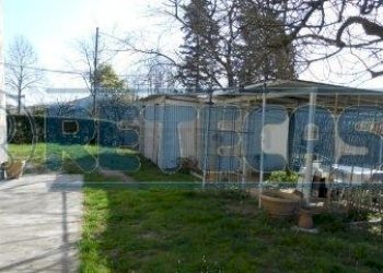 . - Rustico V. di Bientina s/n, Santa Maria a Monte - foto 13