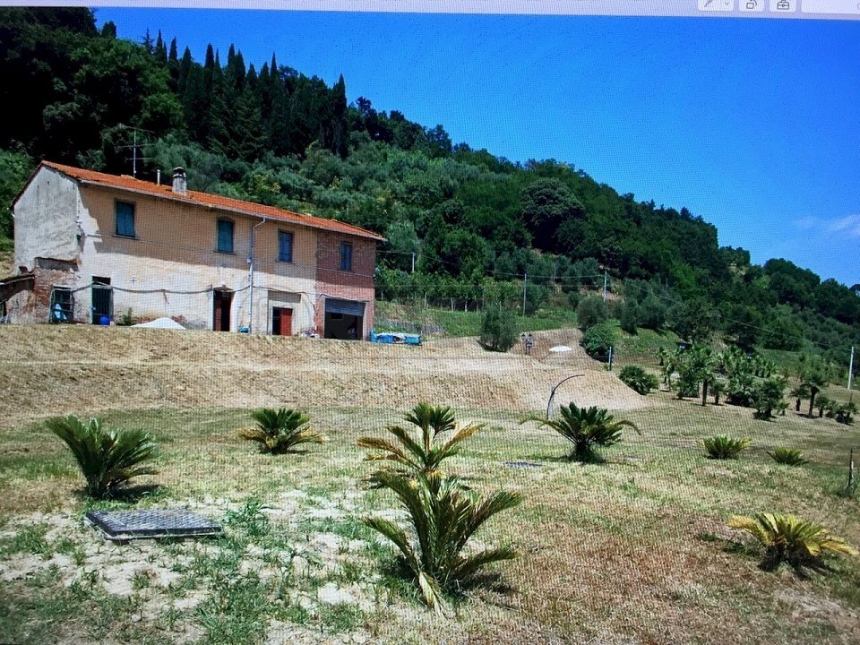 IMG-20150709-WA0022.jpg - Rustic Castelfranco di Sotto - photo 3