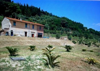 IMG-20150709-WA0022.jpg - Rustic Castelfranco di Sotto - photo 3