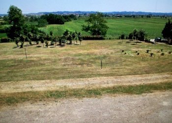 IMG-20150709-WA0005.jpg - Rustic Castelfranco di Sotto - photo 5