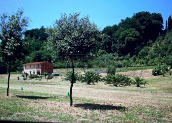 IMG-20150709-WA0010.jpg - Rustic Castelfranco di Sotto - photo 7