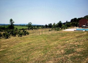 IMG-20150709-WA0013.jpg - Rustic Castelfranco di Sotto - photo 8