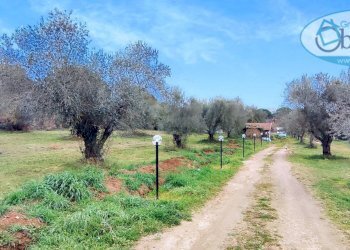 Villa Unifamiliare via poggio della tarantola, Manziana - foto 28