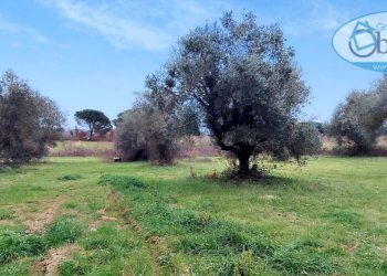 Villa Unifamiliare via poggio della tarantola, Manziana - foto 29