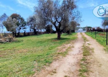 Villa Unifamiliare via poggio della tarantola, Manziana - foto 30