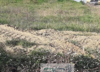 Terreno edificabile Contrada San Martino, Colonnella - foto 5