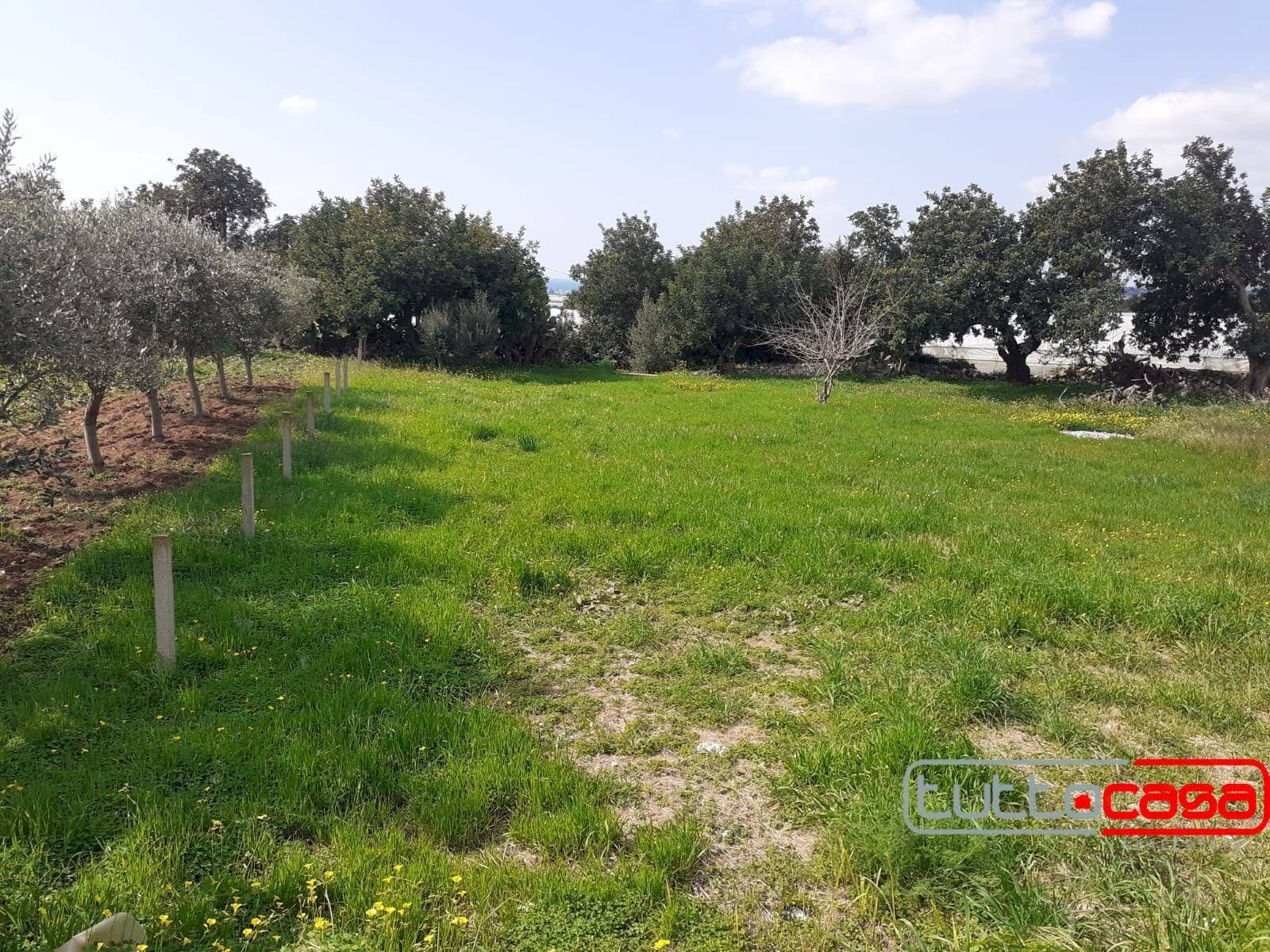 Agricultural land C.DA TRILLALICI, Scicli - photo 1