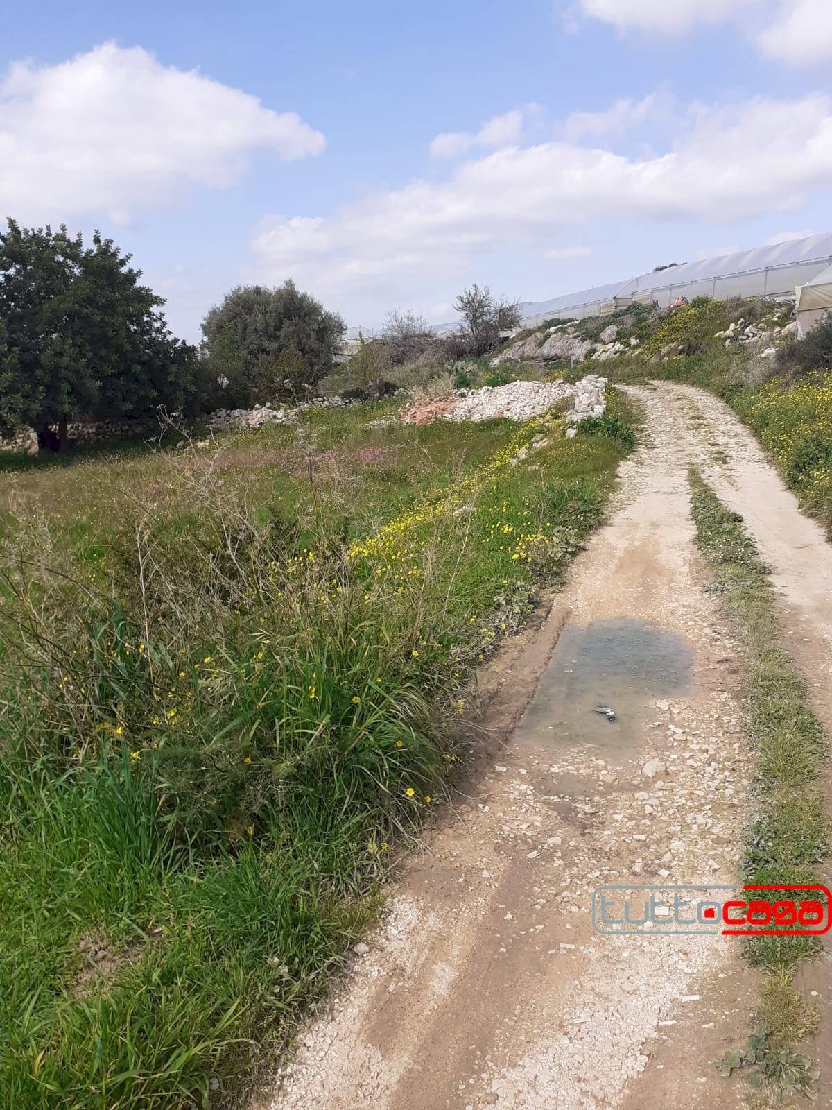Agricultural land C.DA TRILLALICI, Scicli - photo 2