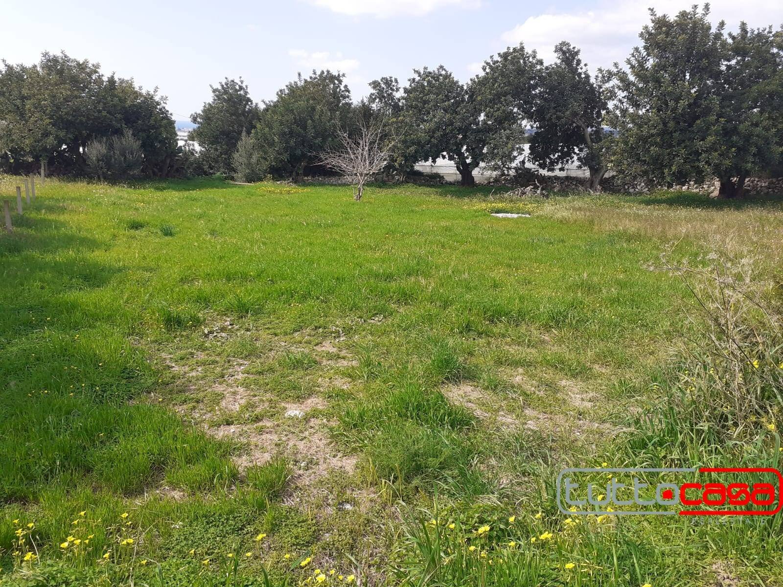 Agricultural land C.DA TRILLALICI, Scicli - photo 3