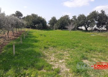 Agricultural land C.DA TRILLALICI, Scicli - photo 1