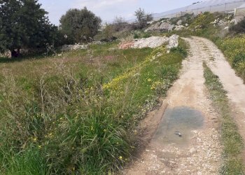 Agricultural land C.DA TRILLALICI, Scicli - photo 2