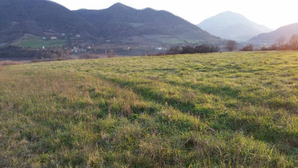 Agricultural land via Venola, Marzabotto - photo 2