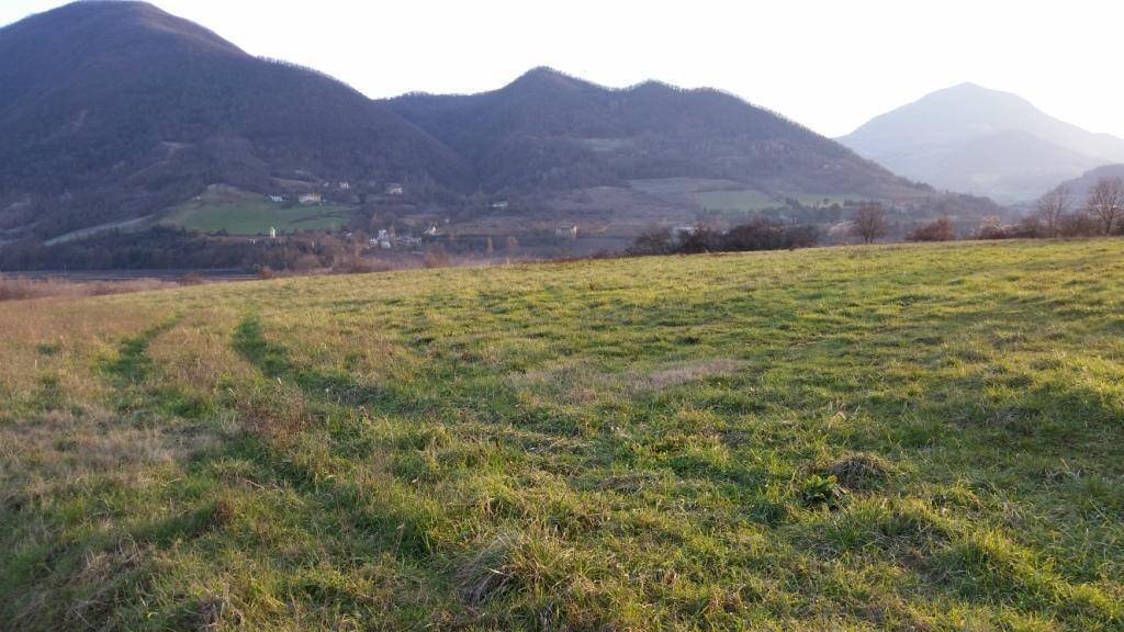 Agricultural land via Venola, Marzabotto - photo 3