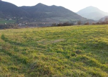 Terreno agricolo via Venola, Marzabotto - foto 1