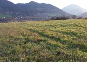 Terreno agricolo via Venola, Marzabotto - foto 2