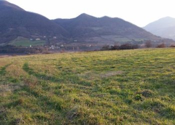 Terreno agricolo via Venola, Marzabotto - foto 3
