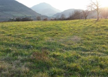 Terreno agricolo via Venola, Marzabotto - foto 4