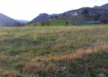 Terreno agricolo via Venola, Marzabotto - foto 5