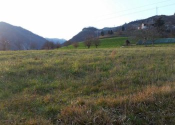 Terreno agricolo via Venola, Marzabotto - foto 6