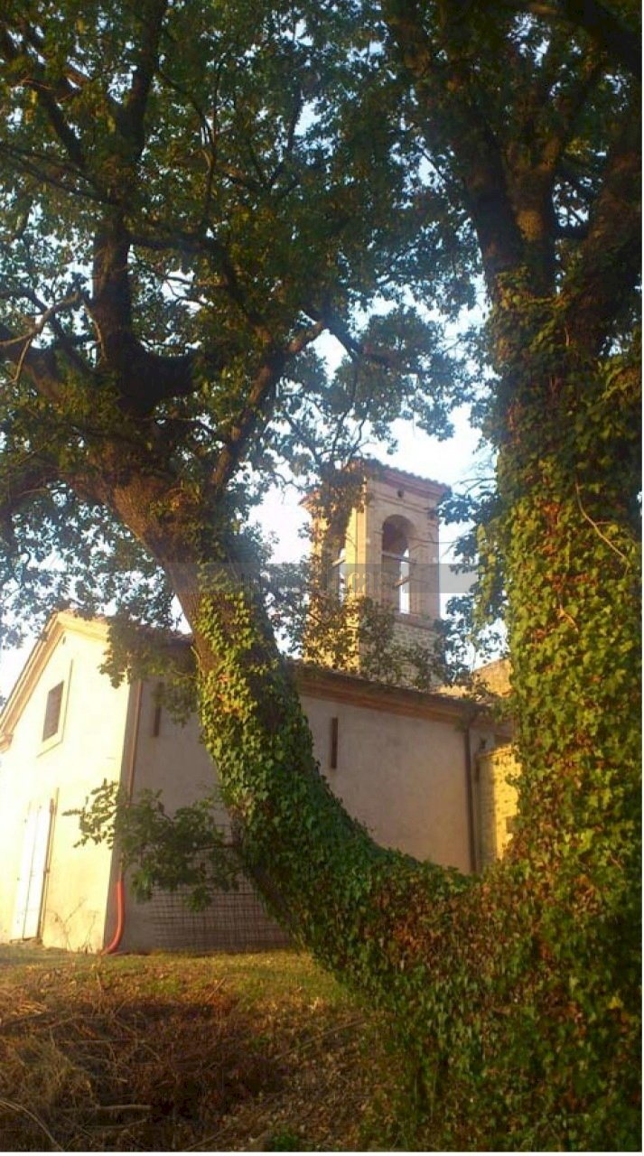 ESTERNO - Casale Vocabolo Casella 74b, Torgiano - foto 1