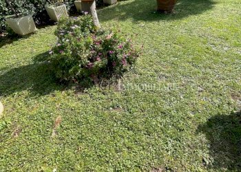 1848cf12-5f86-49fc-9954-aeb31b68cbd2.JPG - Casa semi indipendente Livorno - foto 6