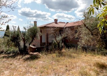 giardino - Villa Via del Bando 22, Perugia - foto 26