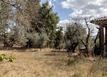 giardino - Villa Via del Bando 22, Perugia - foto 27