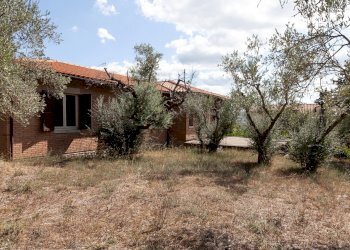 giardino - Villa Via del Bando 22, Perugia - foto 28