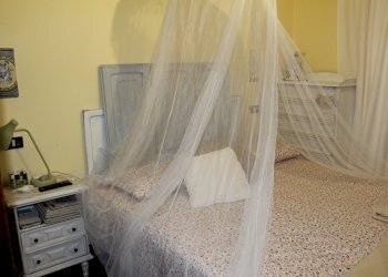 IMG_0770.JPG - Porzione di casa P.zza san Giorgio, Treglio - foto 6